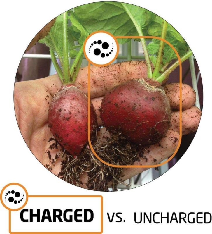 Charge Results Radish