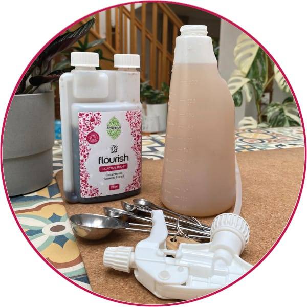Ecothrive Flourish - Concentrated Seaweed Extract 6 Product
