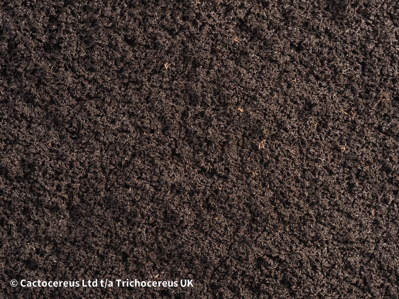 Organic Worm Castings - Worm Manure | Cactocereus UK t/a Trichocereus UK