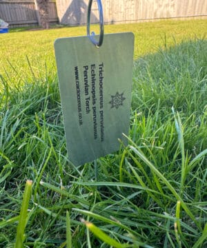 'custom Plant Labels' Clone 2 - Premium Cactus Collection