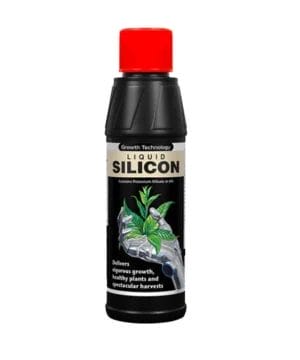 Alternative view of Growth Technology Liquid Silicon