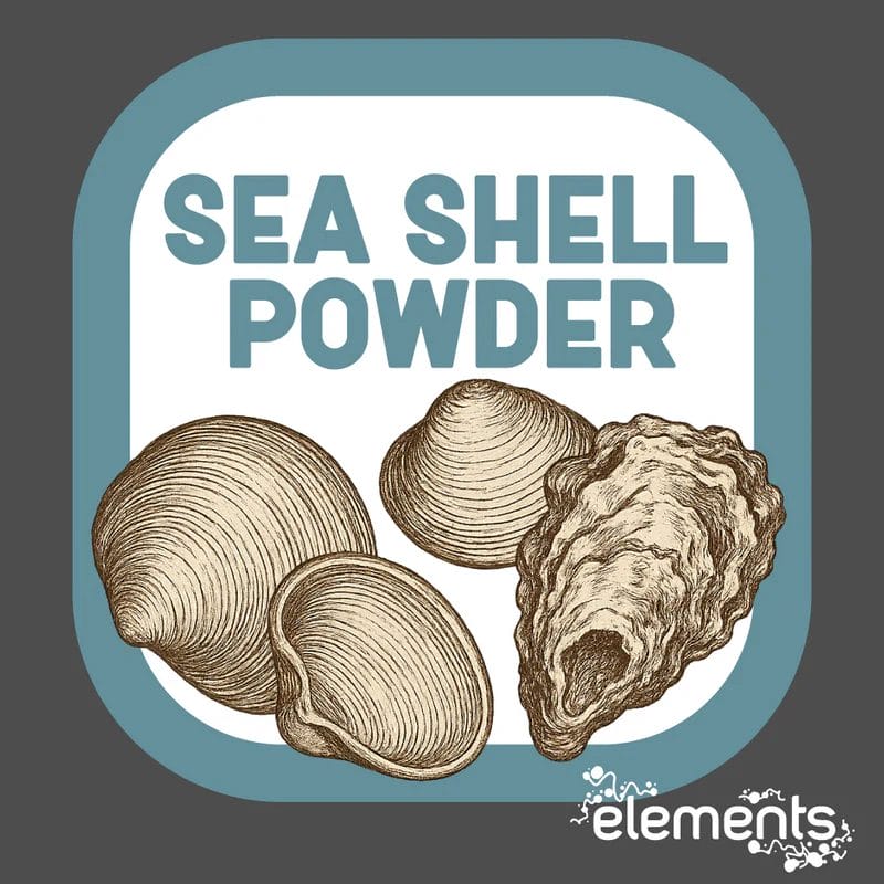 Sea Shell Powder - Micronised 1 Sea Shell Powder - Micronised